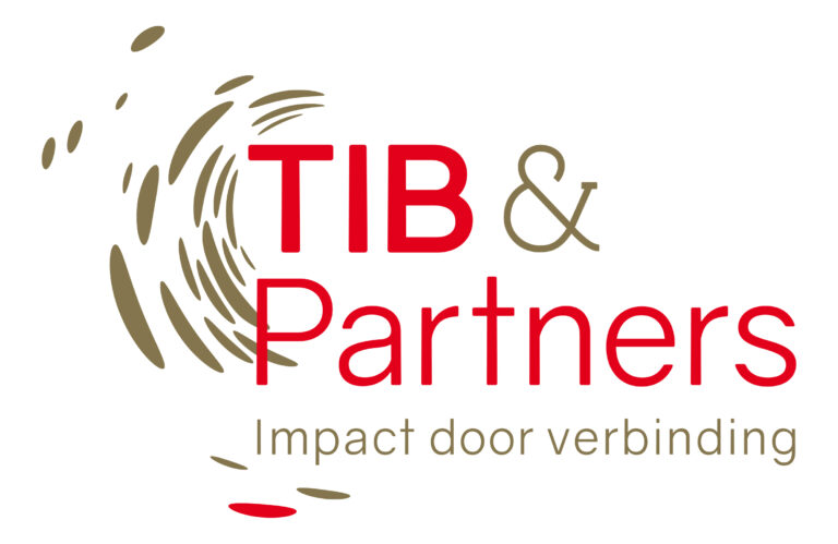 Logo TIB&Patrners def